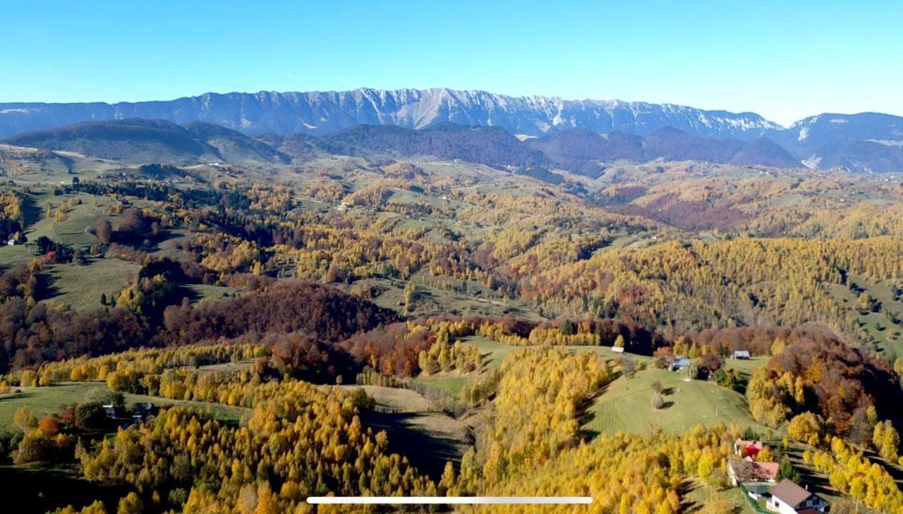 Prater House Mountain View Villa Moieciu de Jos Bagian luar foto