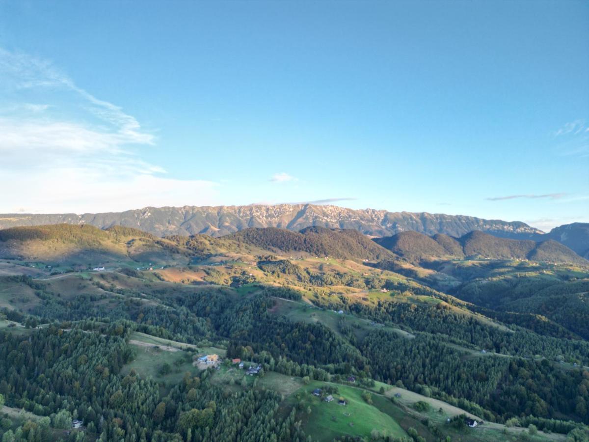 Prater House Mountain View Villa Moieciu de Jos Bagian luar foto