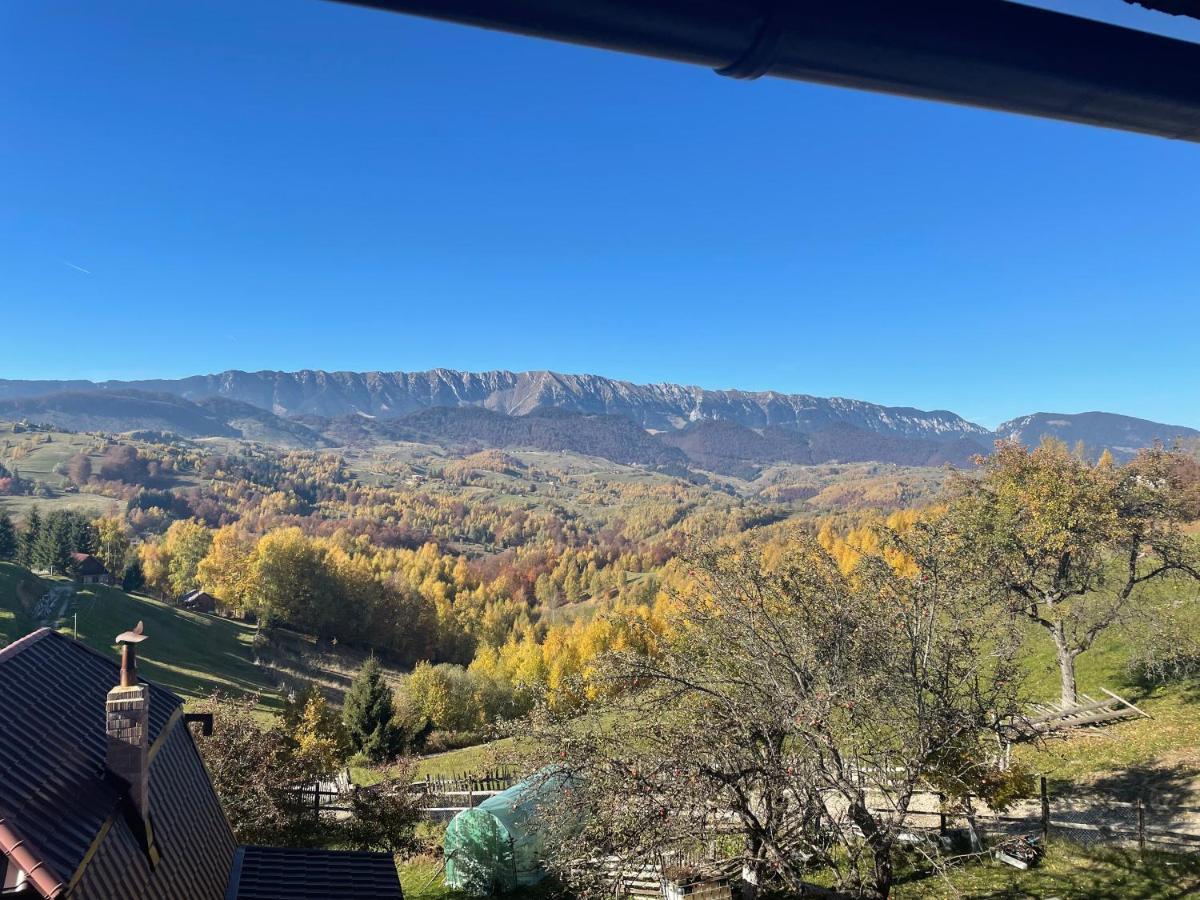 Prater House Mountain View Villa Moieciu de Jos Bagian luar foto